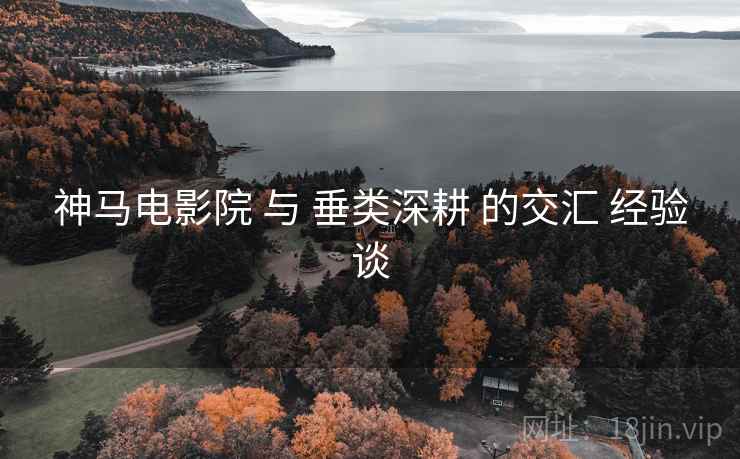 神马电影院 与 垂类深耕 的交汇 经验谈  第1张