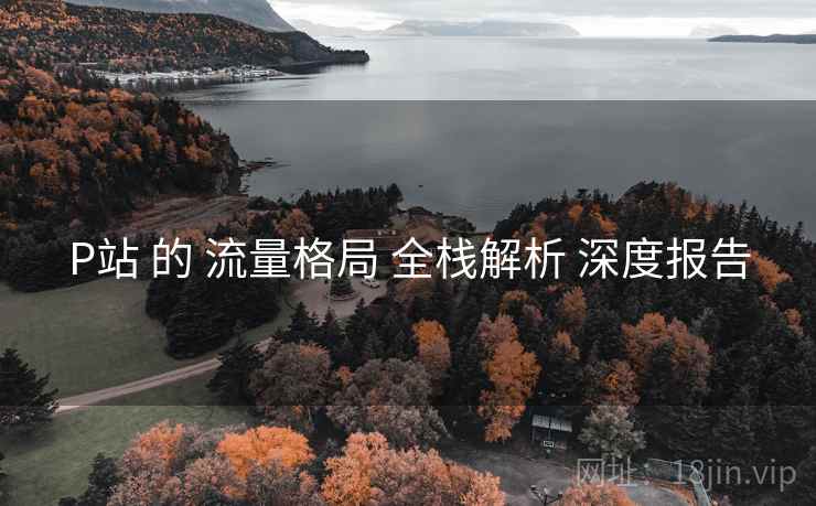 P站 的 流量格局 全栈解析 深度报告  第1张