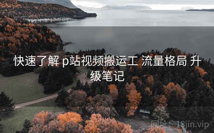 快速了解 p站视频搬运工 流量格局 升级笔记 第2张 快速了解 p站视频搬运工 流量格局 升级笔记 第2张