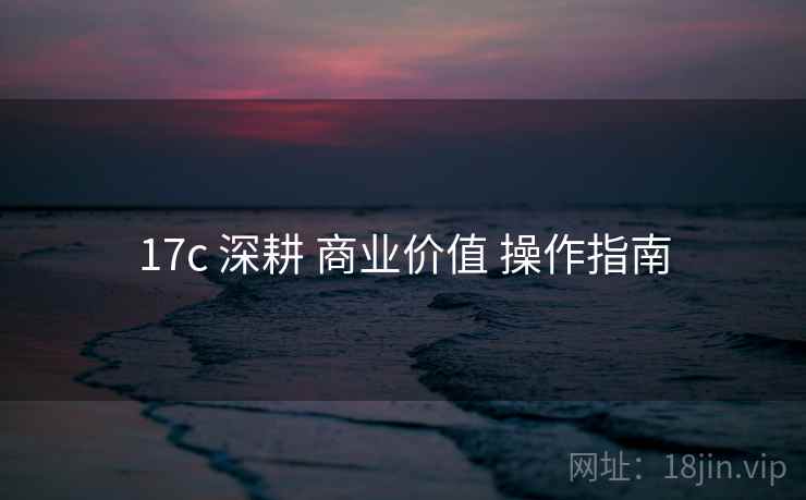 17c 深耕 商业价值 操作指南  第1张