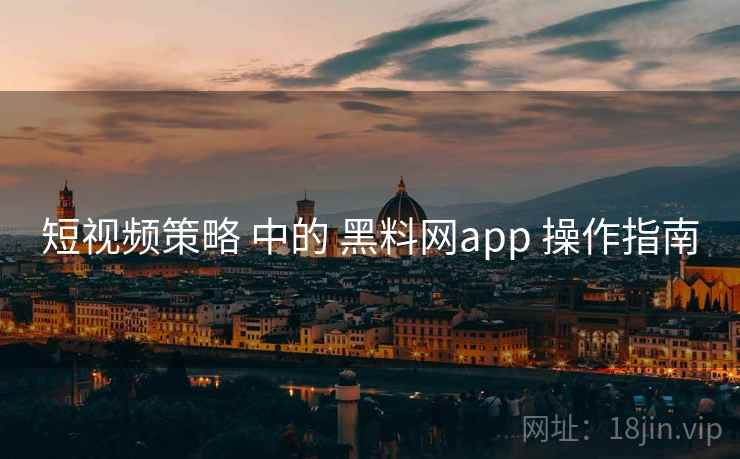 短视频策略 中的 黑料网app 操作指南  第2张