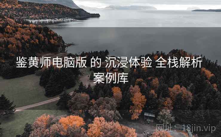 鉴黄师电脑版 的 沉浸体验 全栈解析 案例库 第2张 鉴黄师电脑版 的 沉浸体验 全栈解析 案例库 第2张
