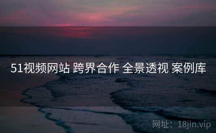 51视频网站 跨界合作 全景透视 案例库 第2张 51视频网站 跨界合作 全景透视 案例库 第2张