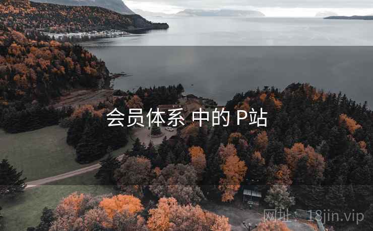 会员体系 中的 P站 第1张 会员体系 中的 P站 第1张
