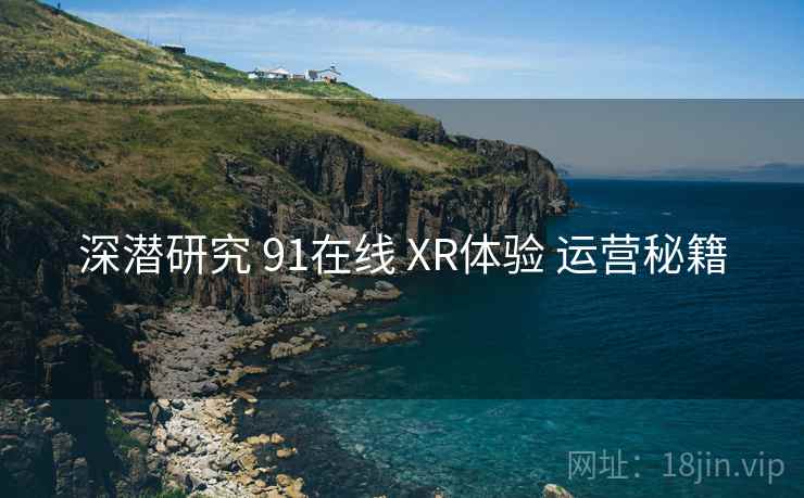 深潜研究 91在线 XR体验 运营秘籍  第1张