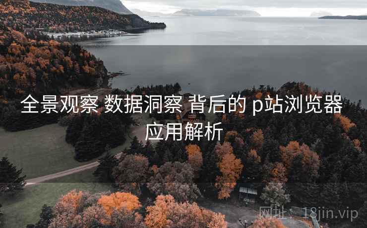 全景观察 数据洞察 背后的 p站浏览器 应用解析 第2张 全景观察 数据洞察 背后的 p站浏览器 应用解析 第2张