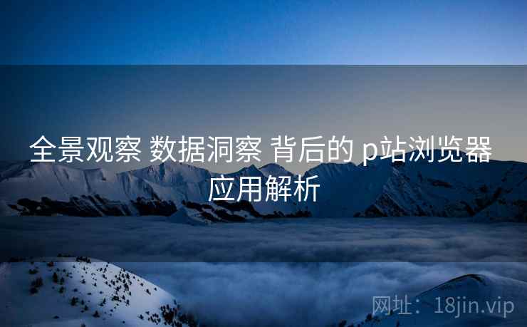 全景观察 数据洞察 背后的 p站浏览器 应用解析 第1张 全景观察 数据洞察 背后的 p站浏览器 应用解析 第1张